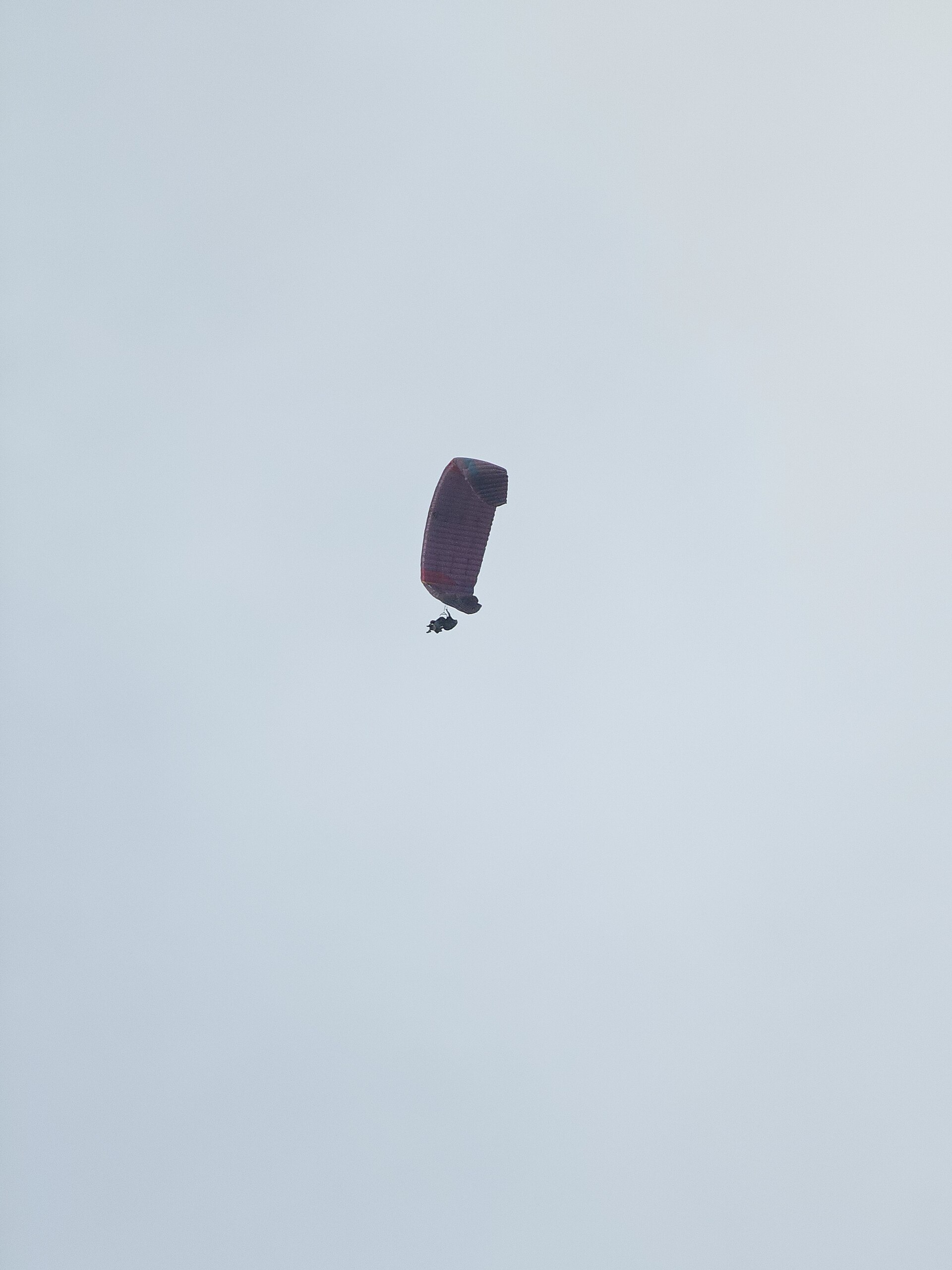 Fly Above the City: A Beginner's Guide to Paragliding in Dharamshala - Adventure guide from Dharamshala adventure blog